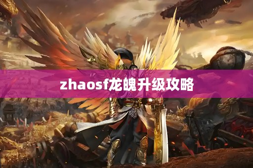 zhaosf龙魄升级攻略